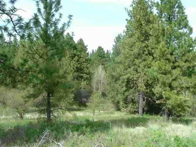 0 East Rinear Road Valleyford, WA 99036 - Photo 3 of 5