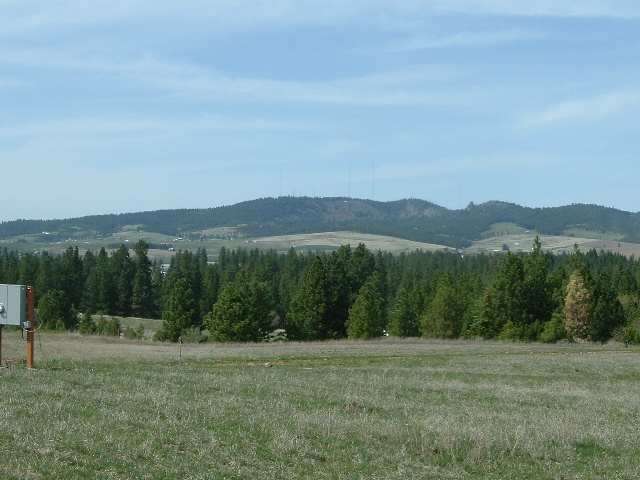 0 East Rinear Road Valleyford, WA 99036 - Photo 4 of 5