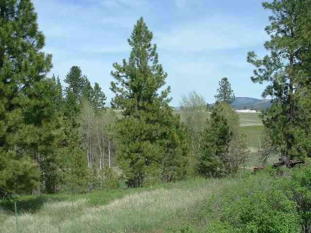0 East Rinear Road Valleyford, WA 99036 - Photo 5 of 5