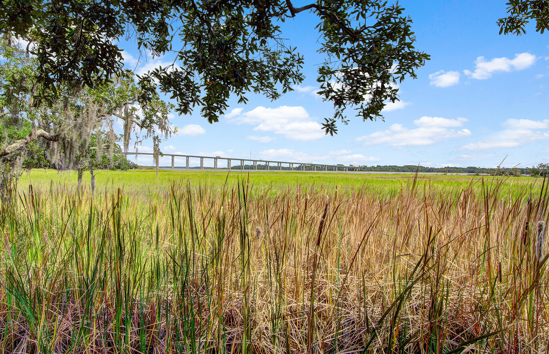 1705 Frissel Street Charleston, SC 29492 - Photo 45 of 54