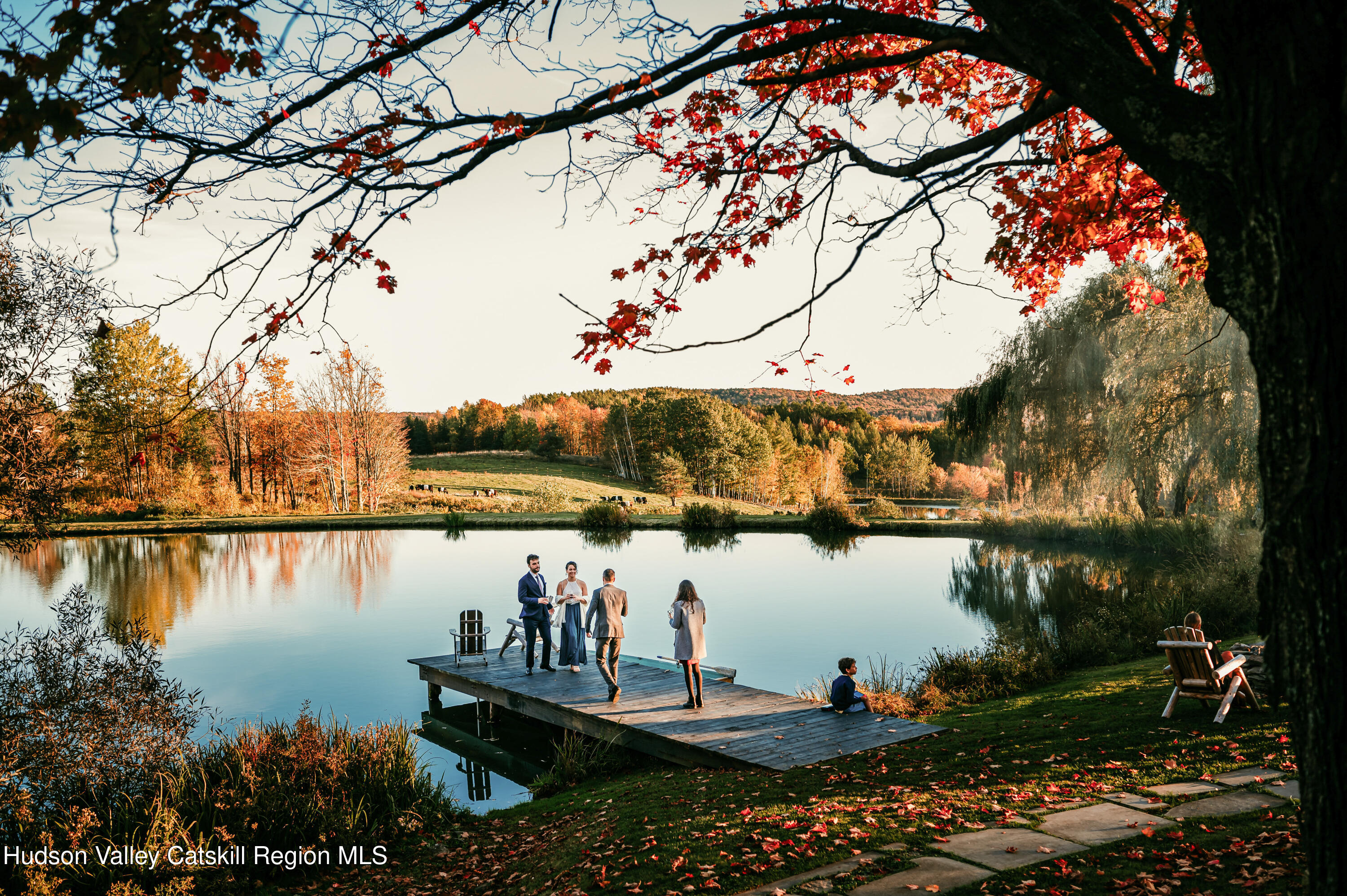108 HIGH POND Road Summit, NY 12175 - Photo 21 of 82 a view of a lake from a yard