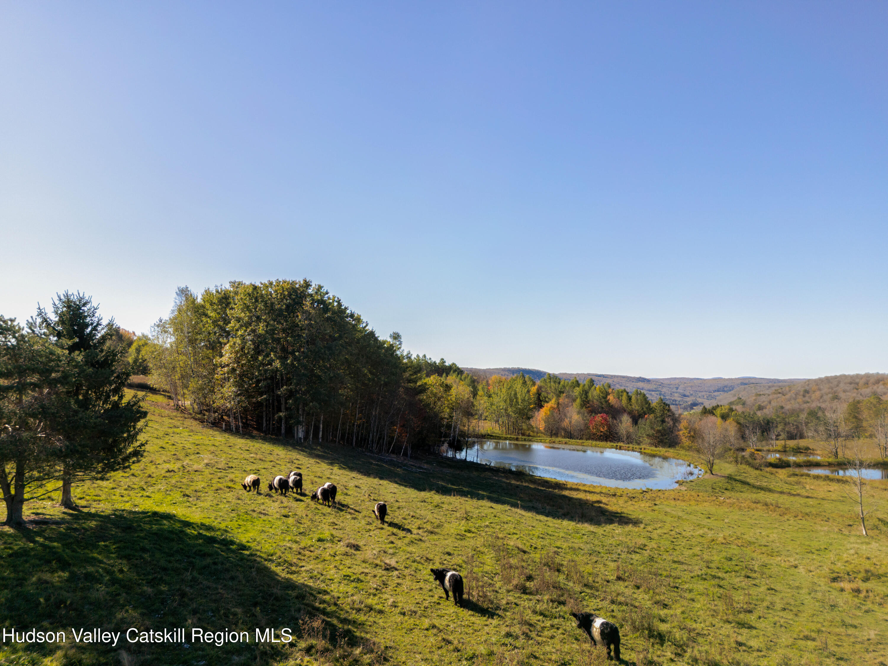 108 HIGH POND Road Summit, NY 12175 - Photo 6 of 82 a view of an ocean