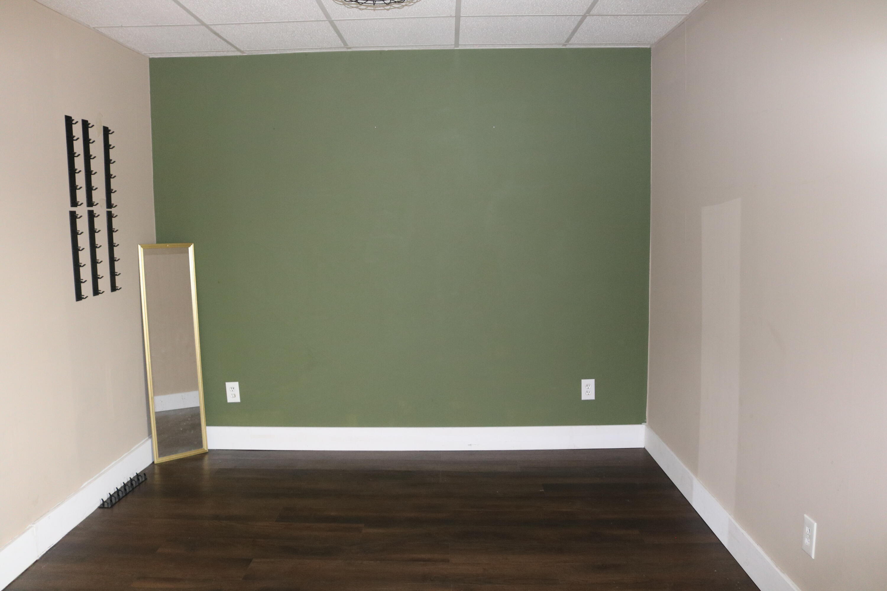 21 Robinson Street Warrenville, SC 29851 - Photo 9 of 20 IMG_4218