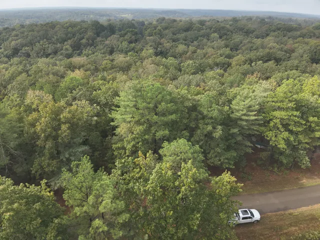 an aerial view of forest