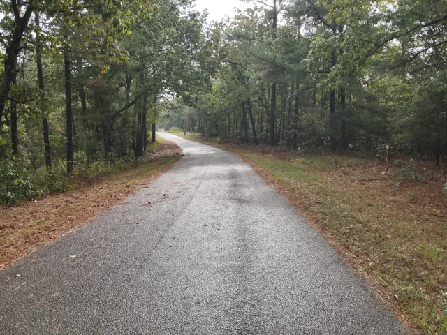 a view of a dirt road with trees in the background