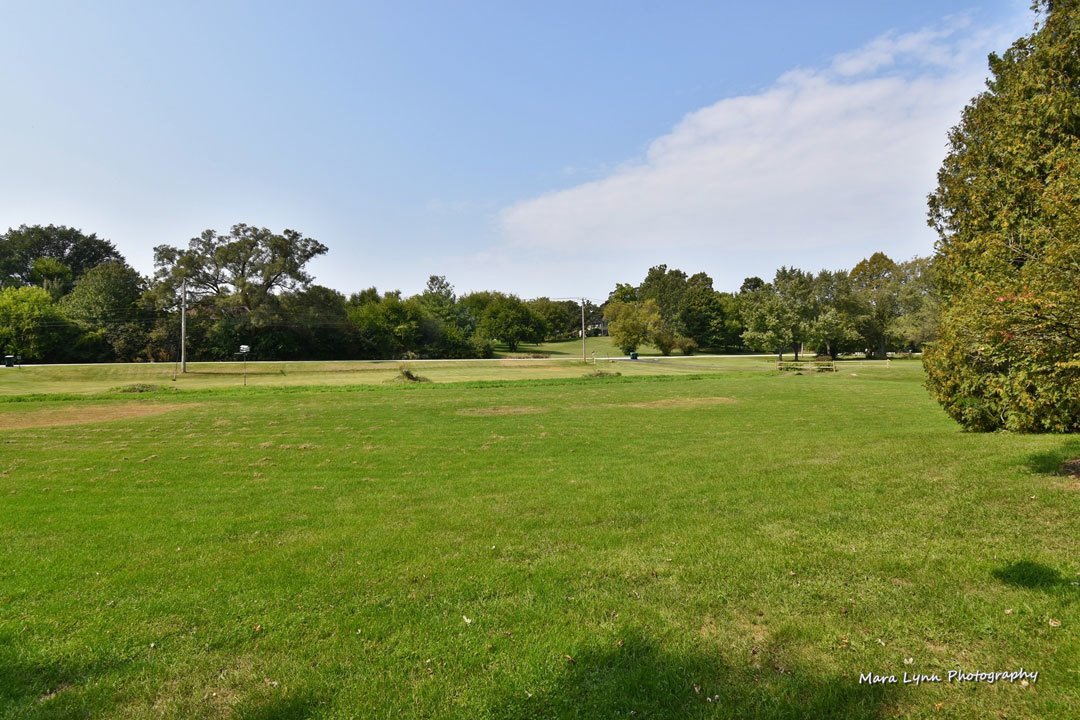 7N201 Stevens Road St. Charles, IL 60175 - Photo 50 of 58 a view of a big yard with plants and large trees