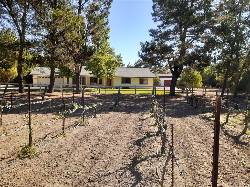 12005 Salinas Road Atascadero, CA 93422 - Photo 1 of 1 Vineyard to house