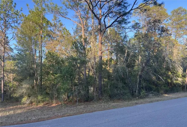 $175,000 | 4 Blair Avenue, Brooksville, FL 34604