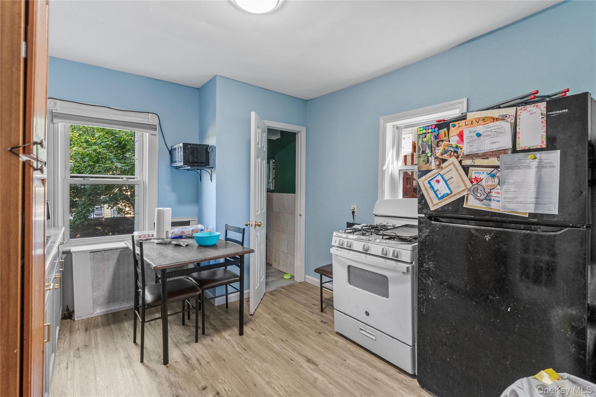 43 Washington Street Port Chester, NY 10573 - Photo 4 of 30 Kitchen