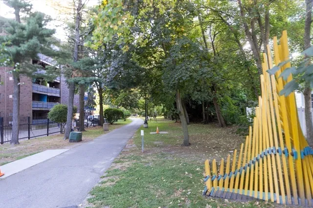 a view of a park with large trees and plants