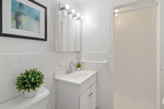 a bathroom with a sink a mirror and a potted plant