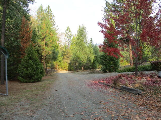 2595 Southside Road Grants Pass, OR 97527 - Photo 29 of 35 Southside Rd (68)
