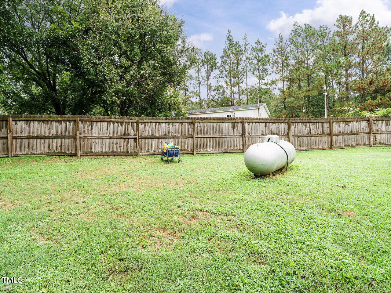 7105 Great Swamp Loop Lucama, NC 27851 - Photo 23 of 28 a view of a backyard with of the tree