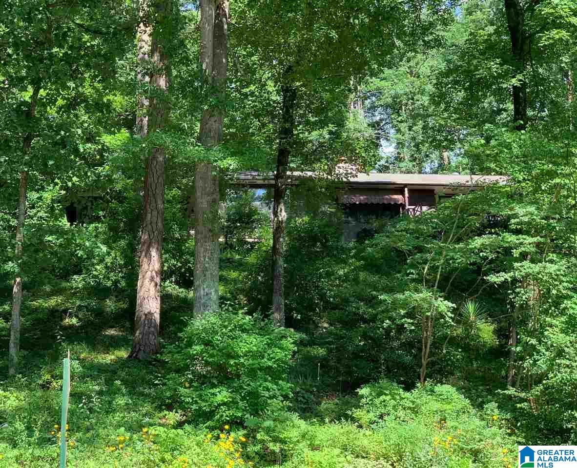 341 Overbrook Road Birmingham, AL 35213 - Photo 1 of 12