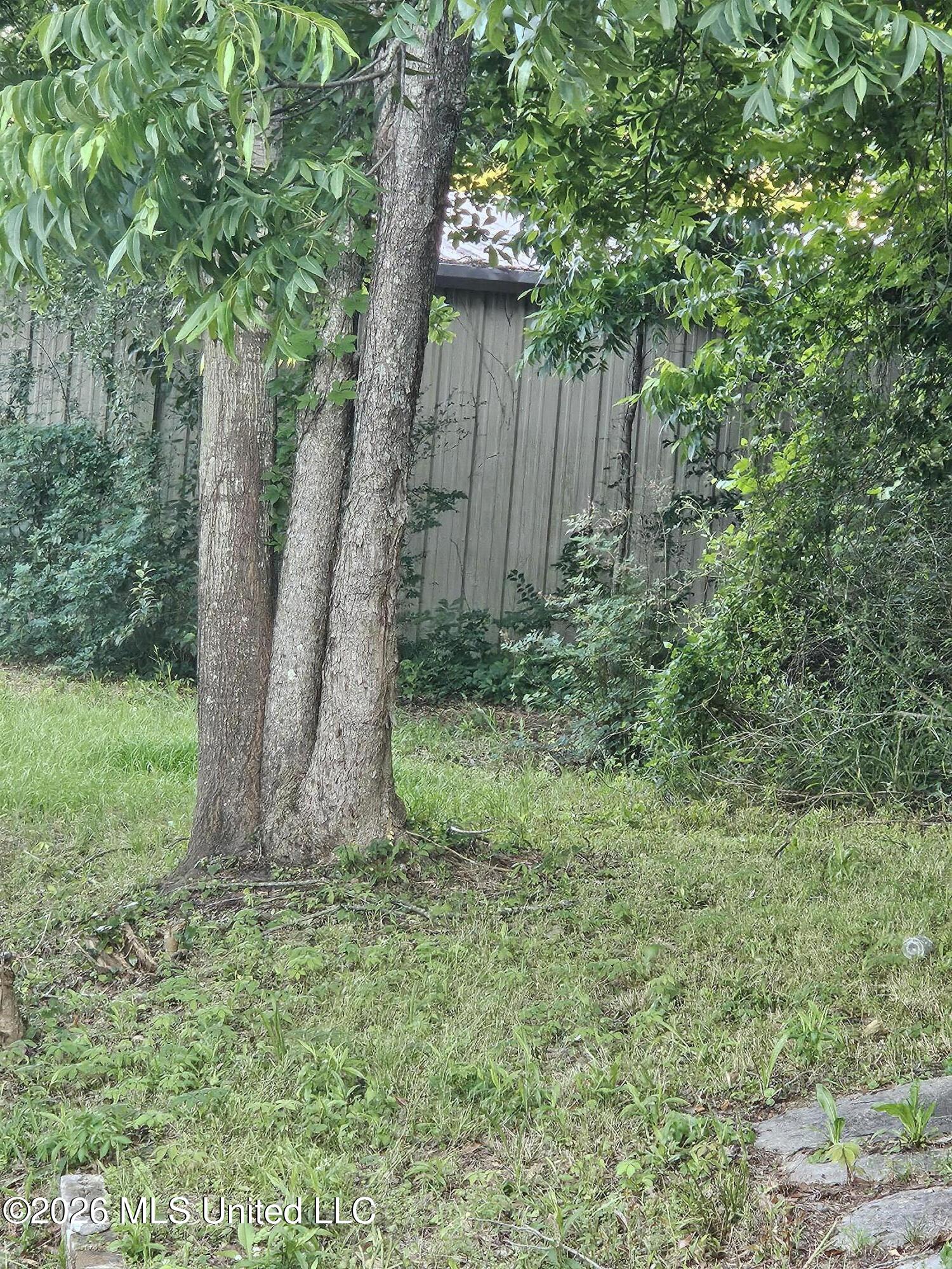 604 South Broadway Street McComb, MS 39648 - Photo 9 of 9 604 Back Yard View