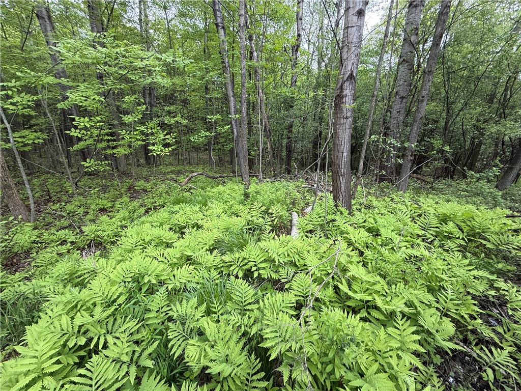 Hawley Road Bradford, NY 14815 - Photo 12 of 42