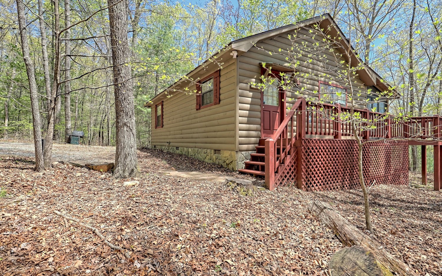 207 Blue Sky Drive Blue Ridge, GA 30513 - Photo 1 of 27 Main View