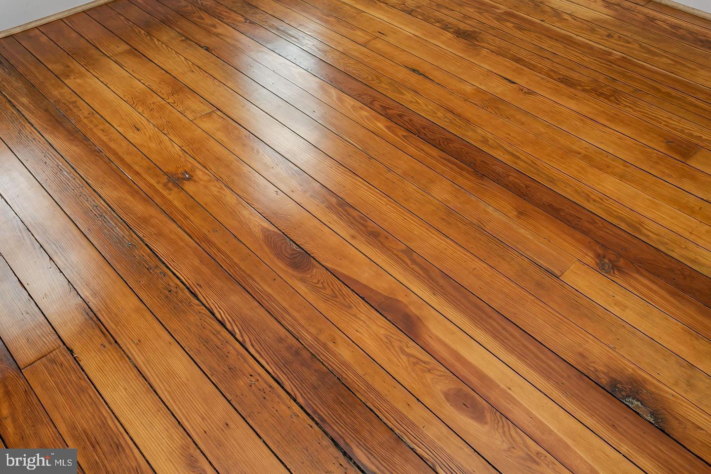 230 East Barney Street Baltimore, MD 21230 - Photo 7 of 15