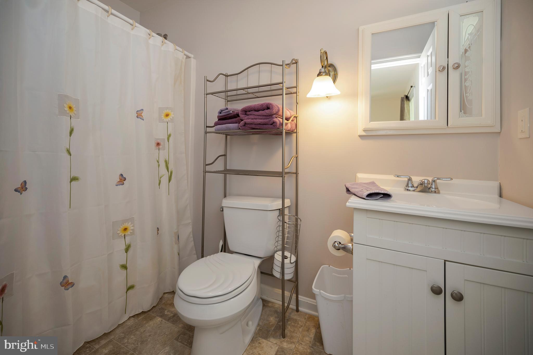 322 Birchside Circle Locust Grove, VA 22508 - Photo 17 of 77 en suite full bath