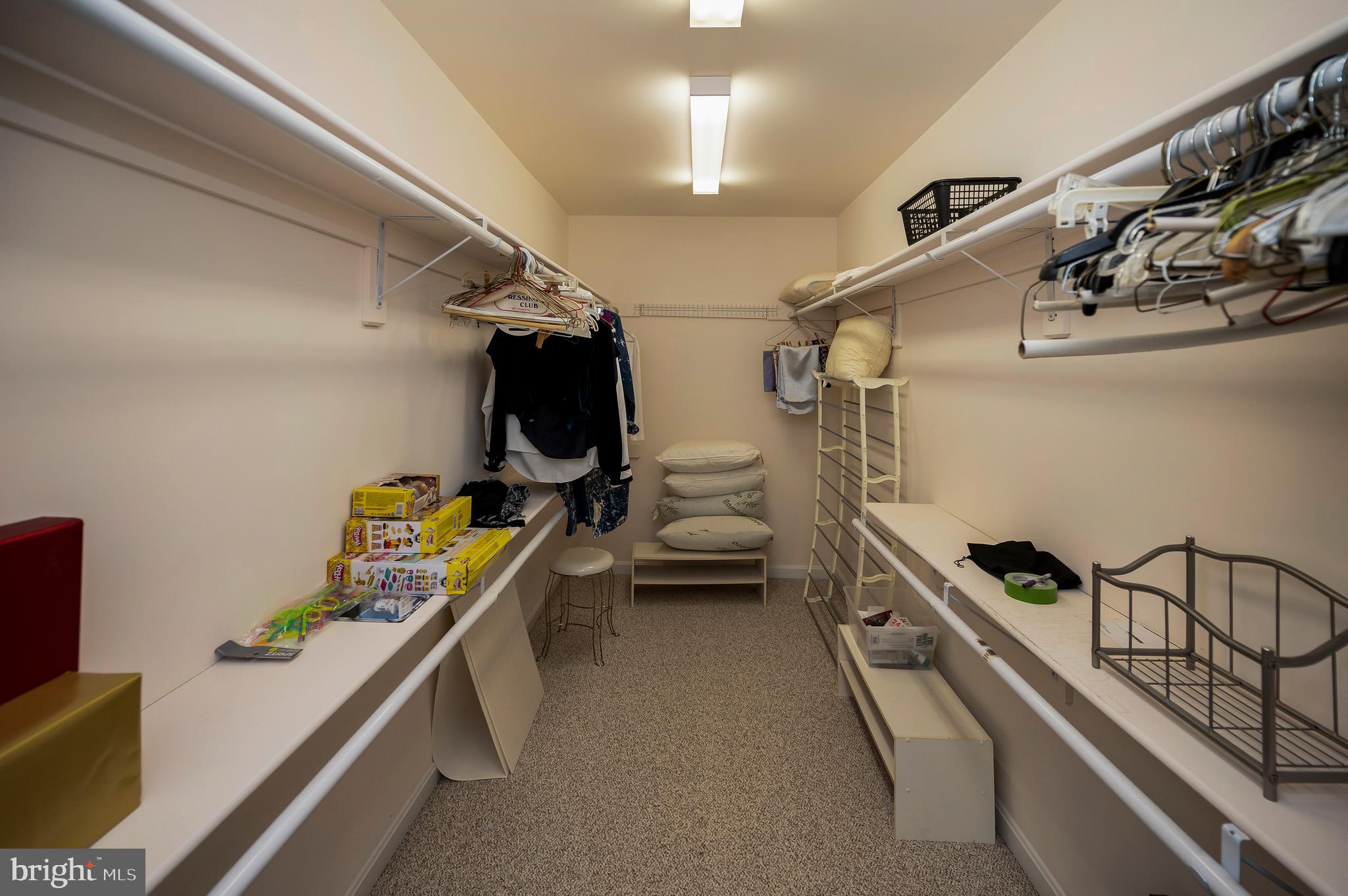 322 Birchside Circle Locust Grove, VA 22508 - Photo 29 of 77 double walk in closet