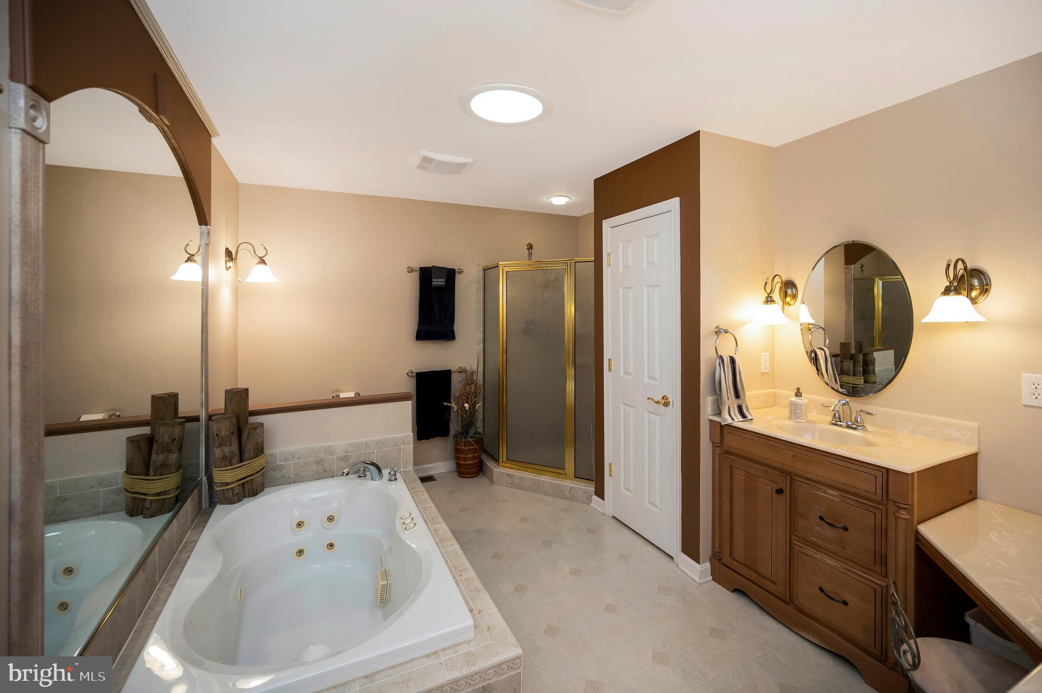 322 Birchside Circle Locust Grove, VA 22508 - Photo 31 of 77 jetted tub bath & separate shower