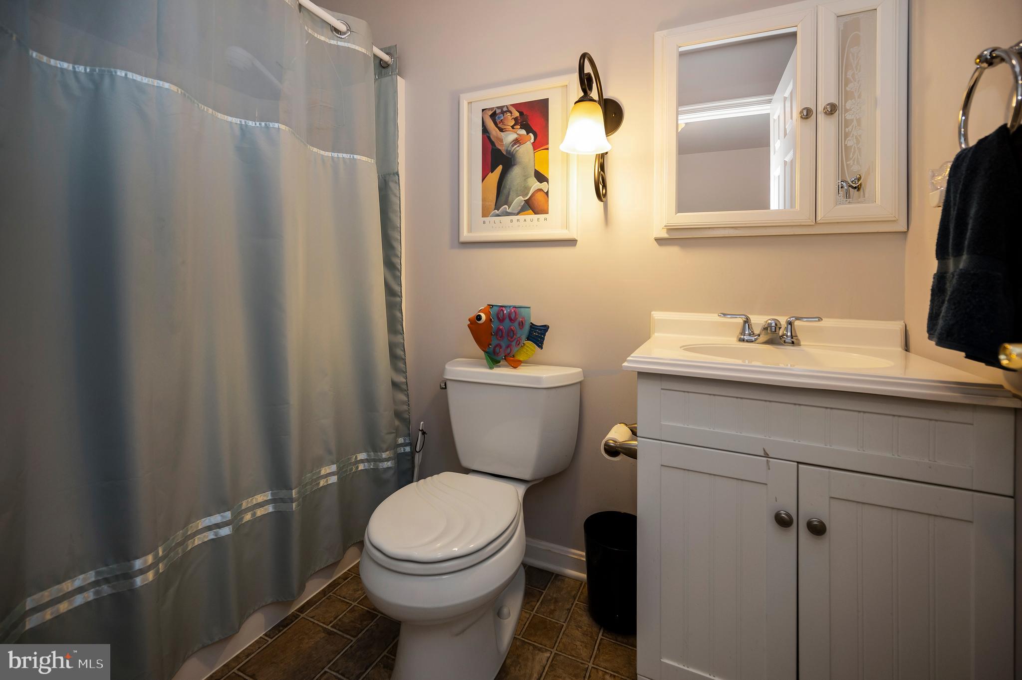 322 Birchside Circle Locust Grove, VA 22508 - Photo 37 of 77 guest wing full bath