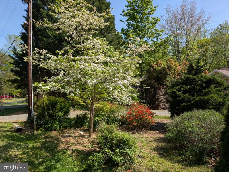 322 Birchside Circle Locust Grove, VA 22508 - Photo 75 of 77 front bed