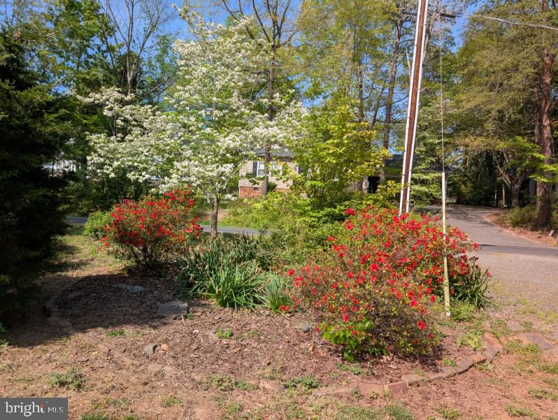 322 Birchside Circle Locust Grove, VA 22508 - Photo 76 of 77 streetside bed