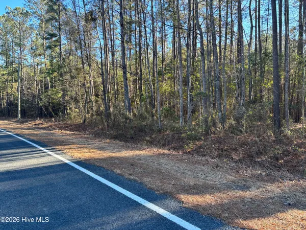 $34,500 | 0 Biggs Road, Rowland, NC 28383