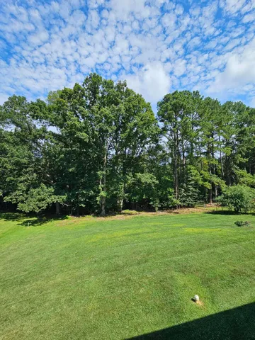 a view of a green field with plants and trees in the background