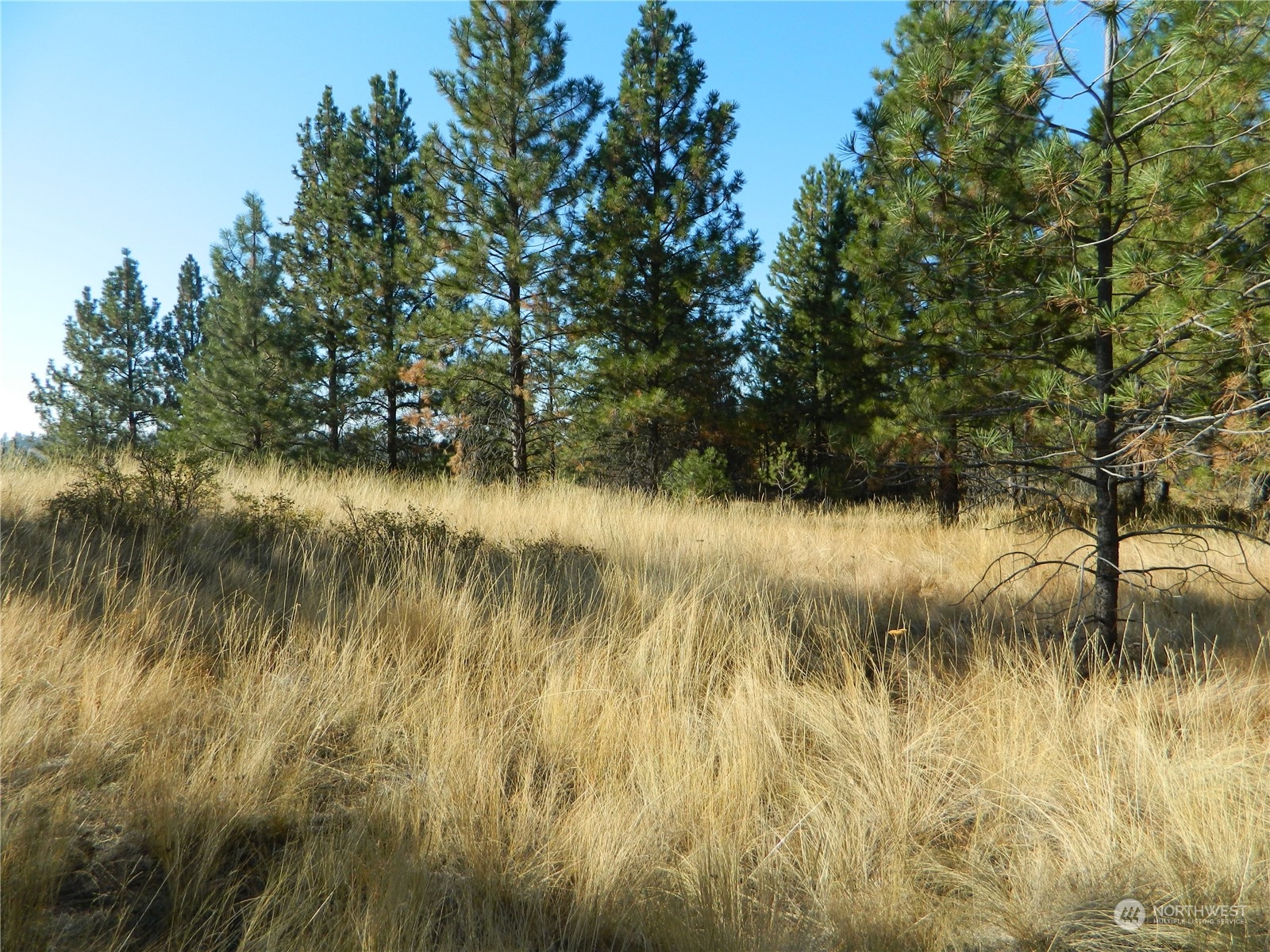 111-tbd Swanson Mill Road Tonasket, WA 98855 - Photo 23 of 28 Gallery Image 23