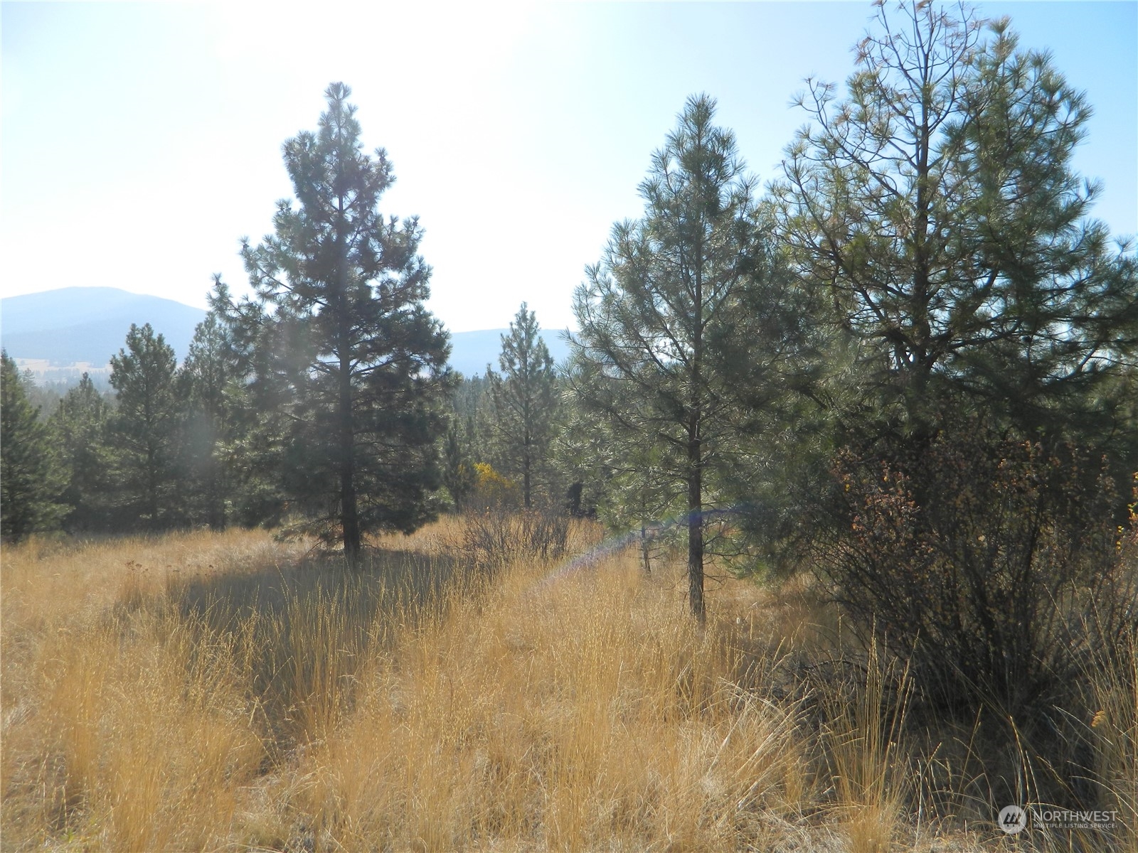 111-tbd Swanson Mill Road Tonasket, WA 98855 - Photo 25 of 28 Gallery Image 25