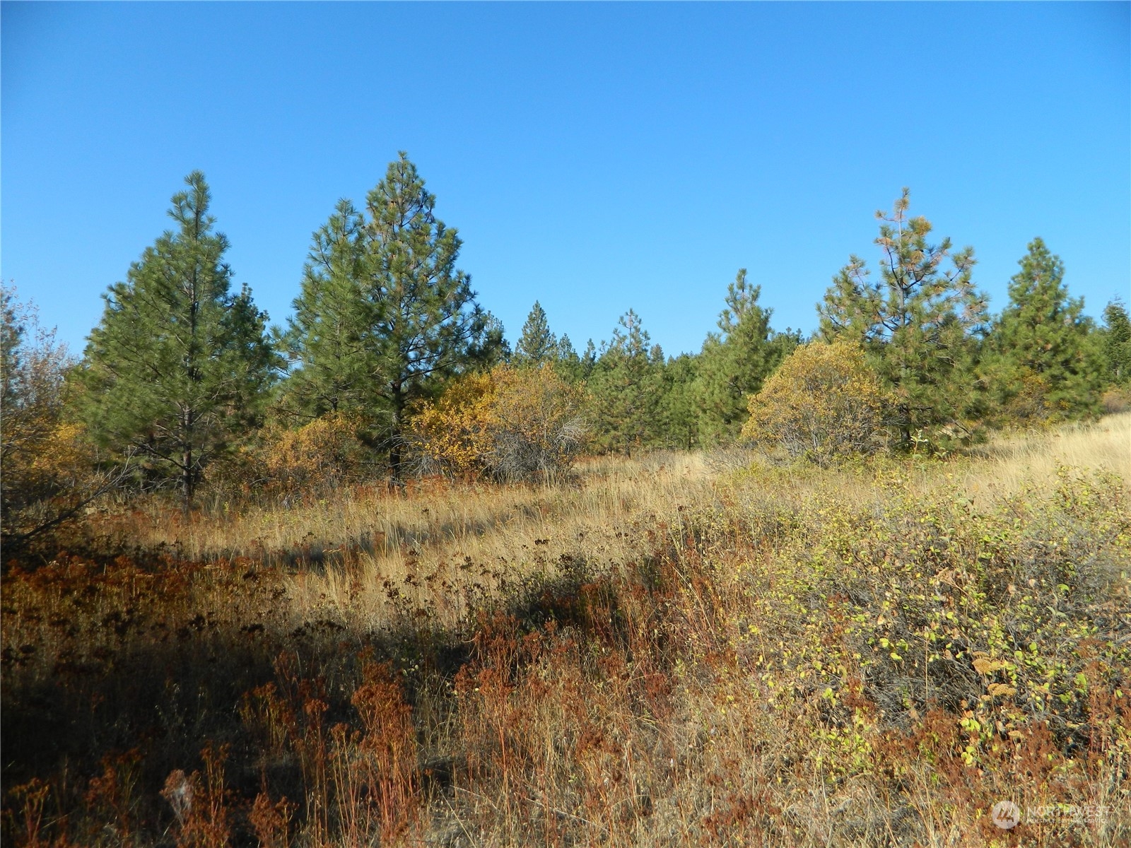 111-tbd Swanson Mill Road Tonasket, WA 98855 - Photo 3 of 28 Gallery Image 3