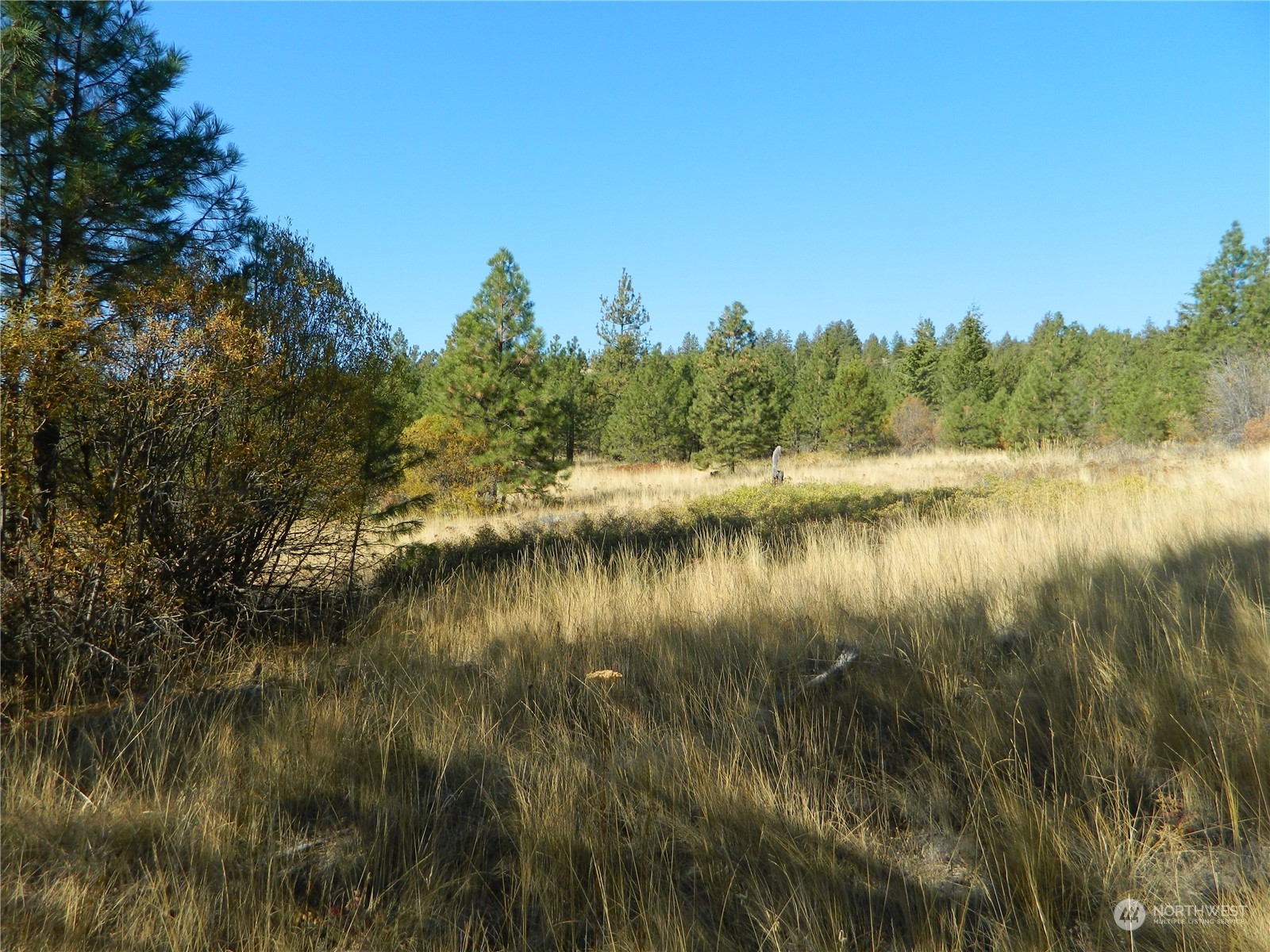 111-tbd Swanson Mill Road Tonasket, WA 98855 - Photo 8 of 28 Gallery Image 8