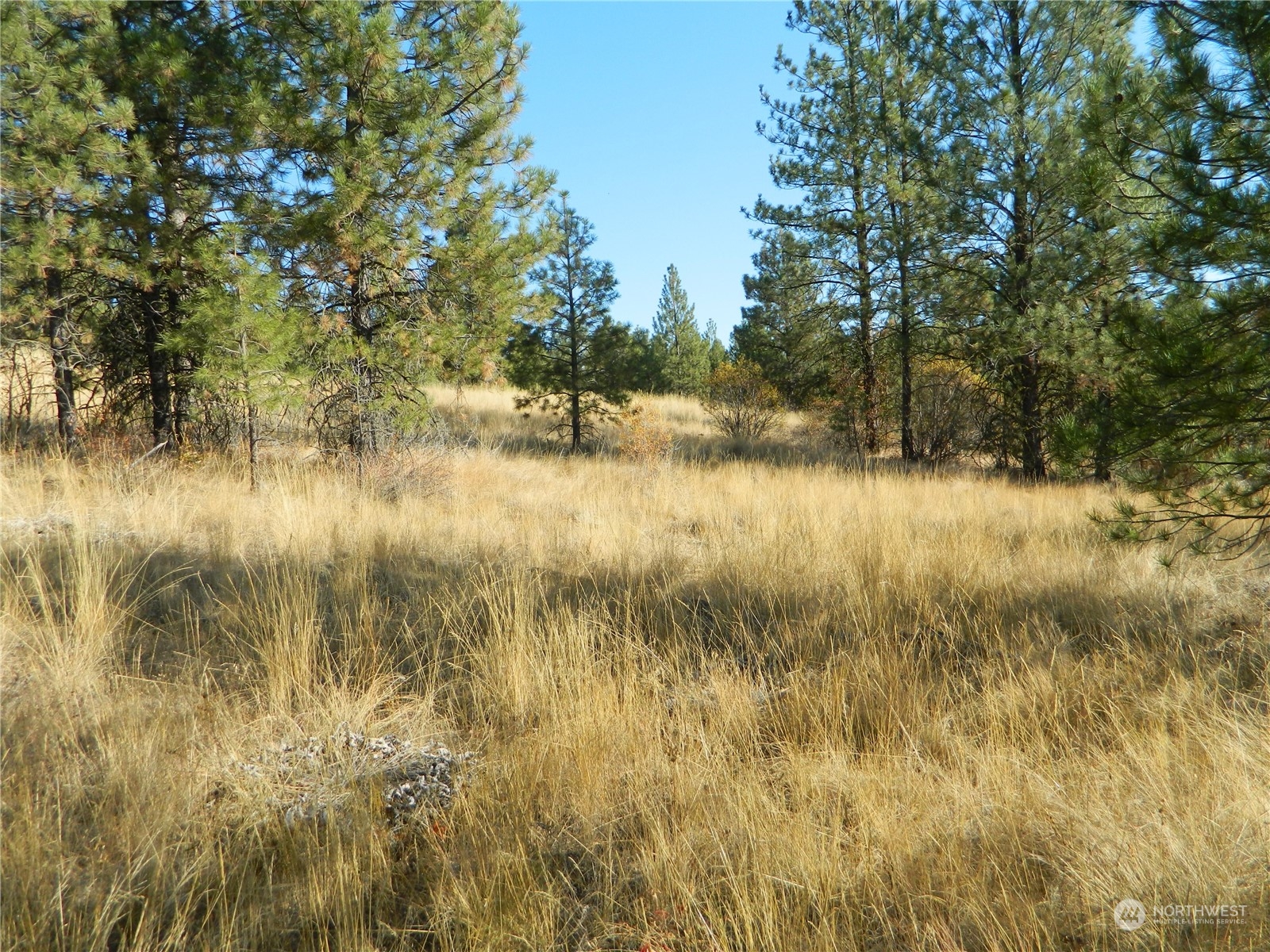 111-tbd Swanson Mill Road Tonasket, WA 98855 - Photo 10 of 28 Gallery Image 10