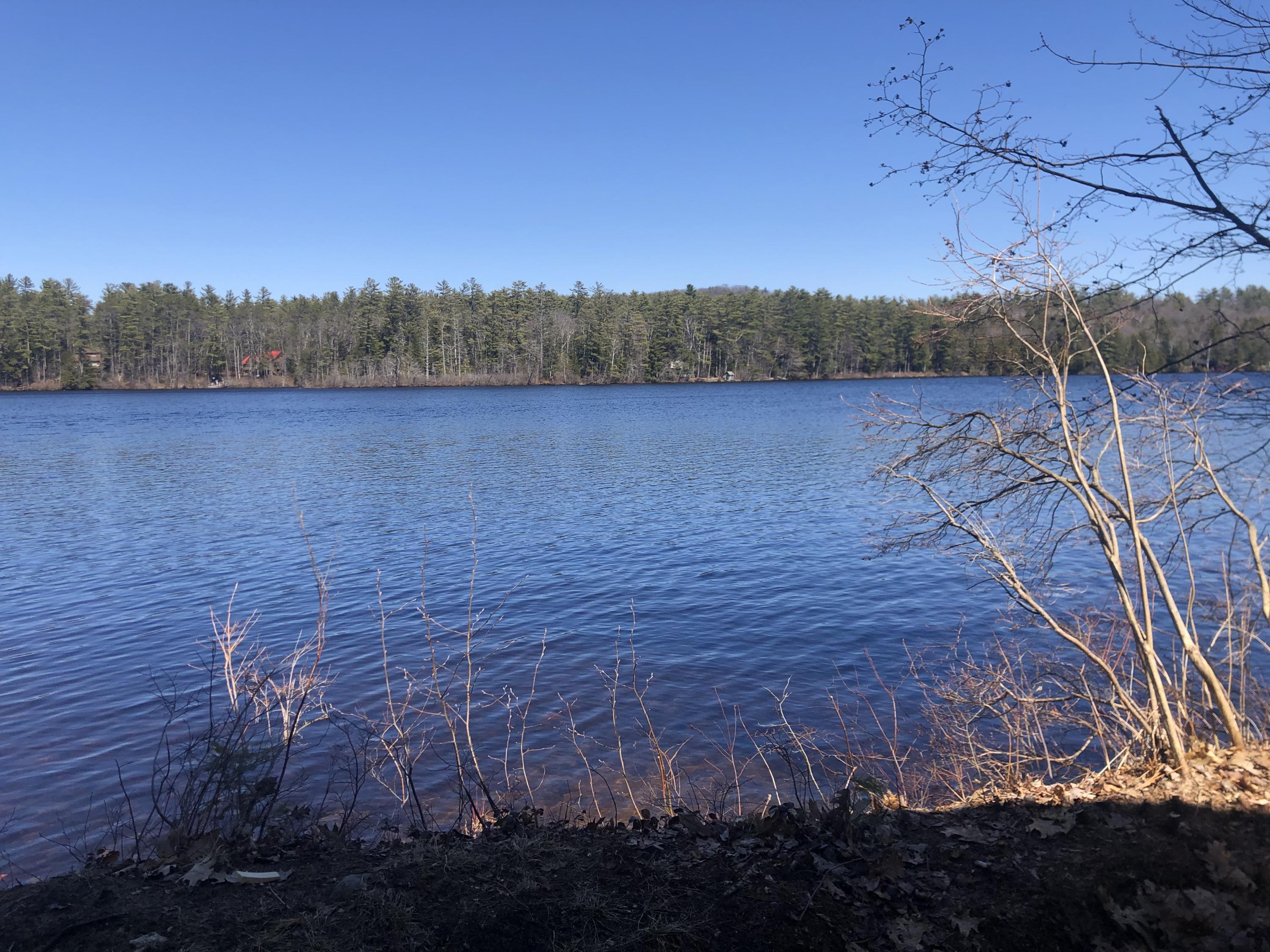 552 Songo Pond Road Bethel, ME 04217 - Photo 4 of 4 IMG-5406
