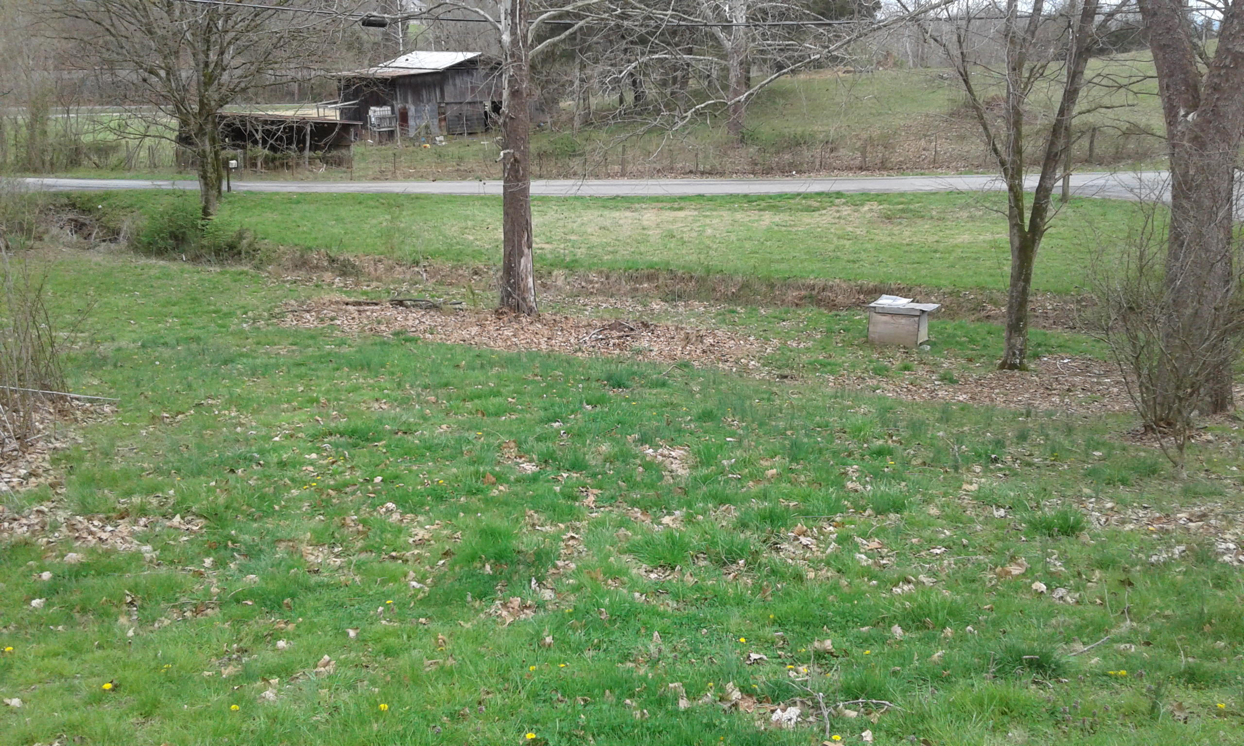 114 Lautner Road Bulls Gap, TN 37711 - Photo 3 of 3 20170328_123525