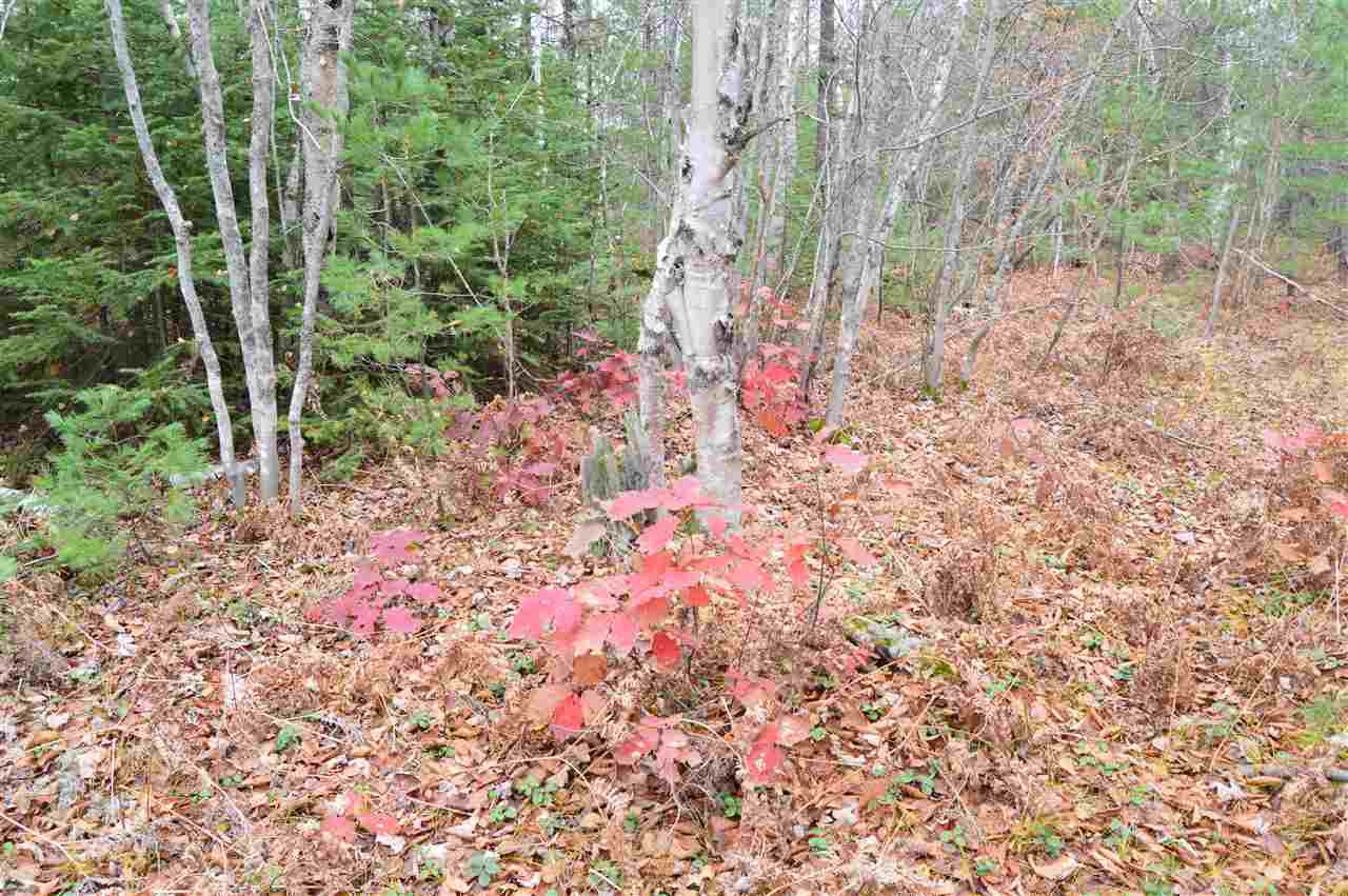 Xxx Chamberlain Road Munising, MI 49862 - Photo 2 of 29 1894812-1.JPG