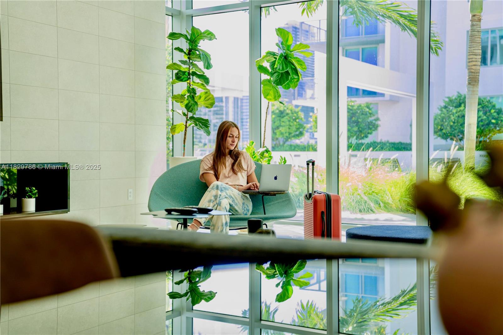 3900 Biscayne Boulevard, Unit S818 Miami, FL 33137 - Photo 25 of 32 a living room filled with furniture and a potted plant
