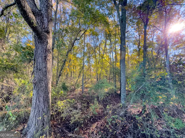 view of wooden floor with a white wall