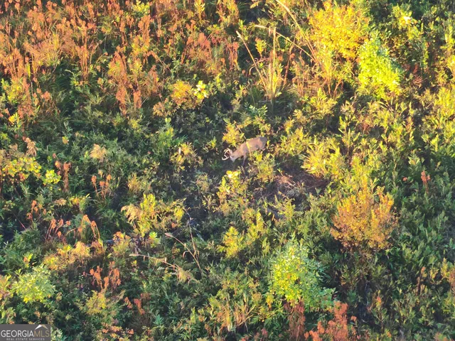 $759,390 | 1 South S Highway, Louisville, GA 30434