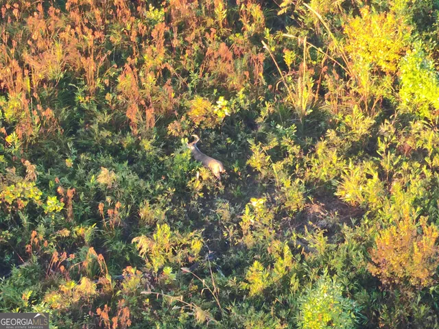 $759,390 | 1 South S Highway, Louisville, GA 30434