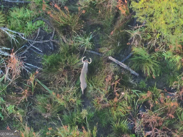 $759,390 | 1 South S Highway, Louisville, GA 30434