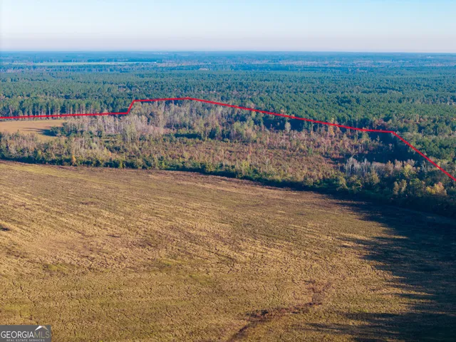 a view of a city and mountains in the background