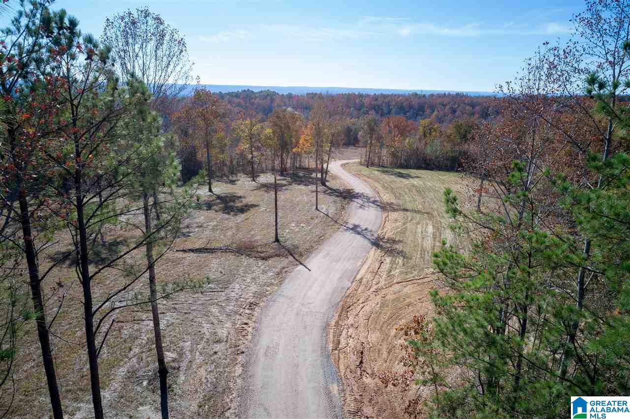 5721 South Shades Crest Road, Unit 1 Helena, AL 35022 - Photo 5 of 9