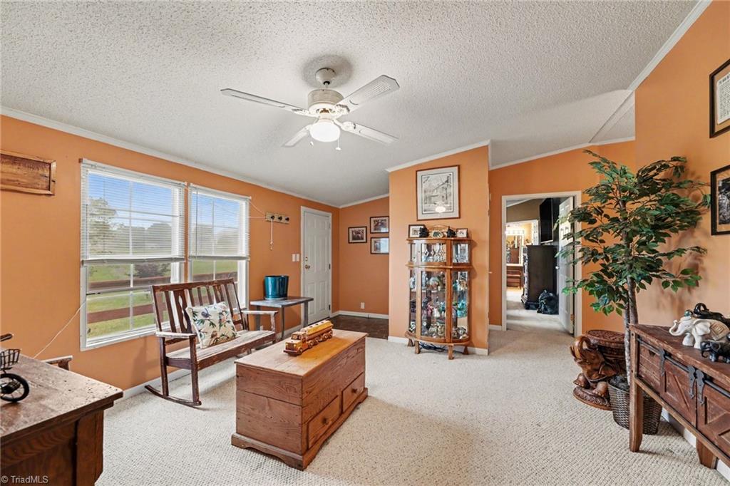 1369 Brims Grove Road Pinnacle, NC 27043 - Photo 22 of 37