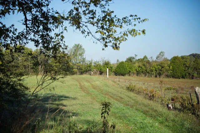a view of a field with trees in background