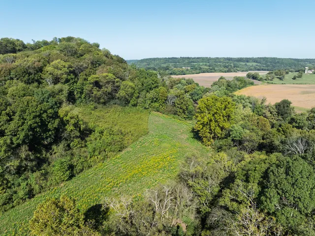 a view of a lake with a mountain in the background