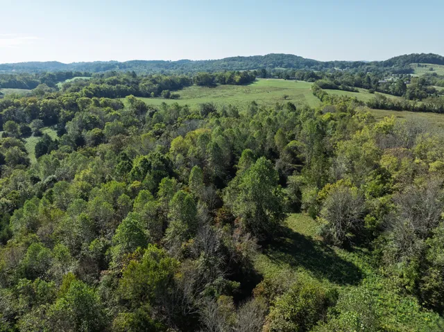 a view of a lush green forest with trees and some houses