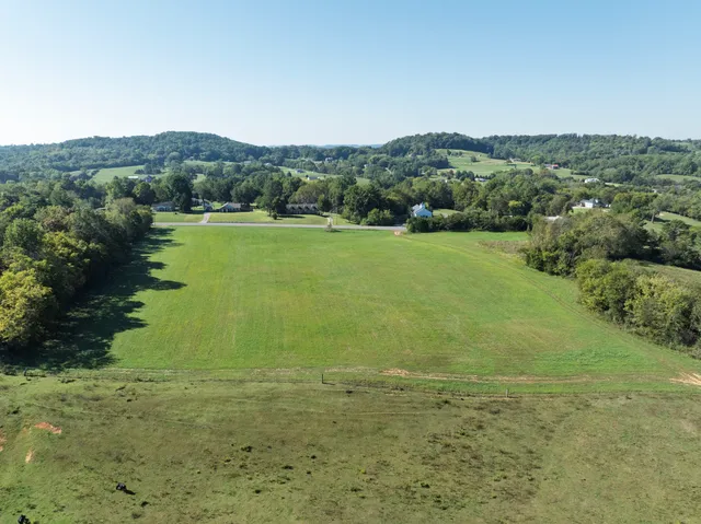 a view of a lake with a mountain in the background